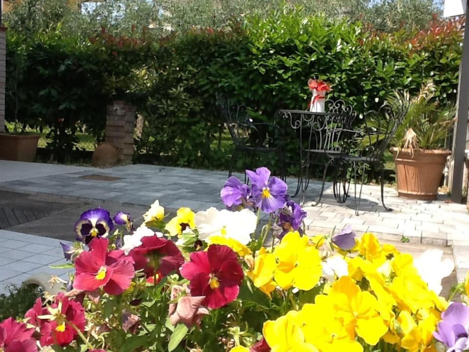 Villa Elisa Gambettola Kültér fotó